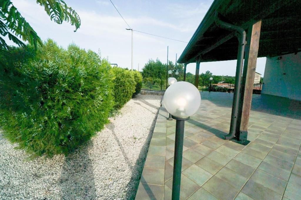 Apartments Mira Savudrija Crveni Vrh Εξωτερικό φωτογραφία